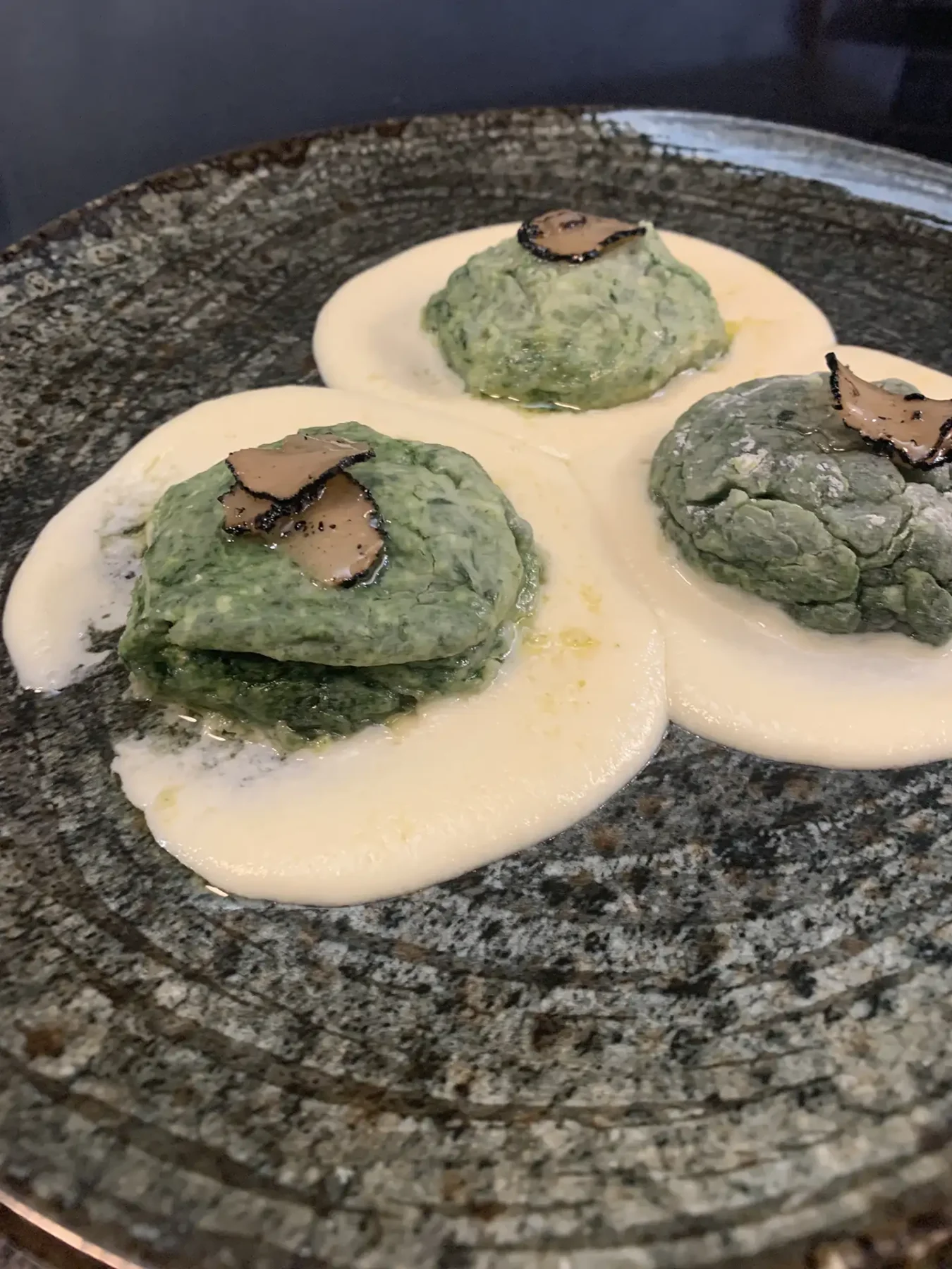 Gnudi